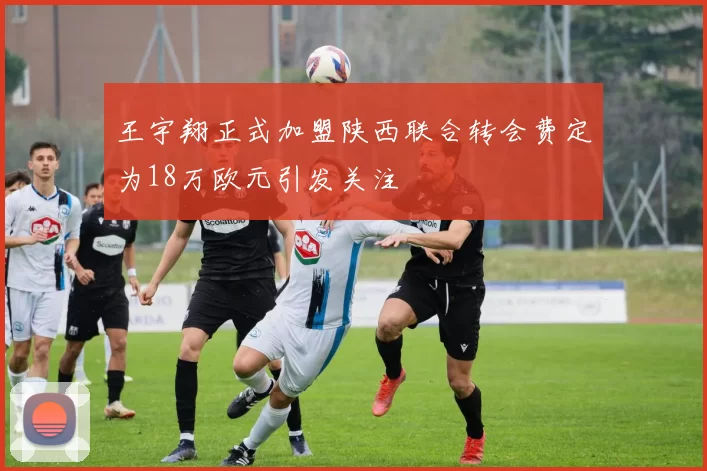 王宇翔正式加盟陕西联合转会费定为18万欧元引发关注