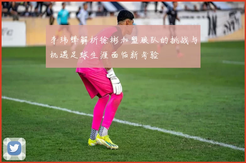 李玮锋解析徐彬加盟狼队的挑战与机遇足球生涯面临新考验